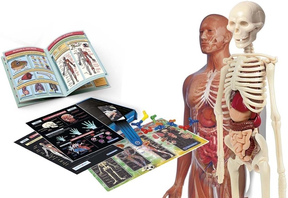 Juego Laboratorio De Anatomía Niños