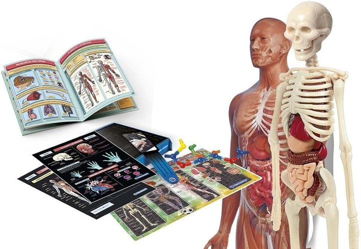 Juego Laboratorio De Anatomía Niños