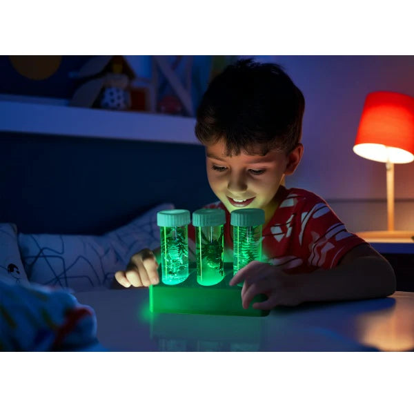 Juego Experimentos Científico Kit Excavación Insectos Niños