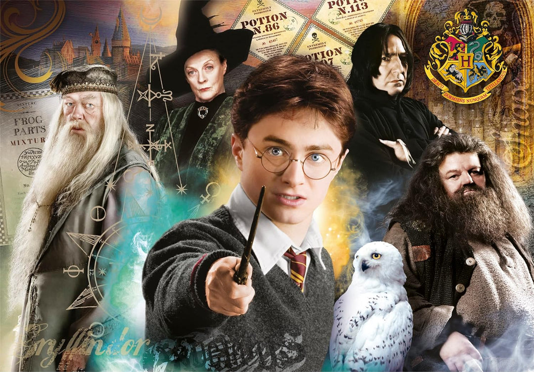 Rompecabezas 1000 Piezas Personajes Harry Potter