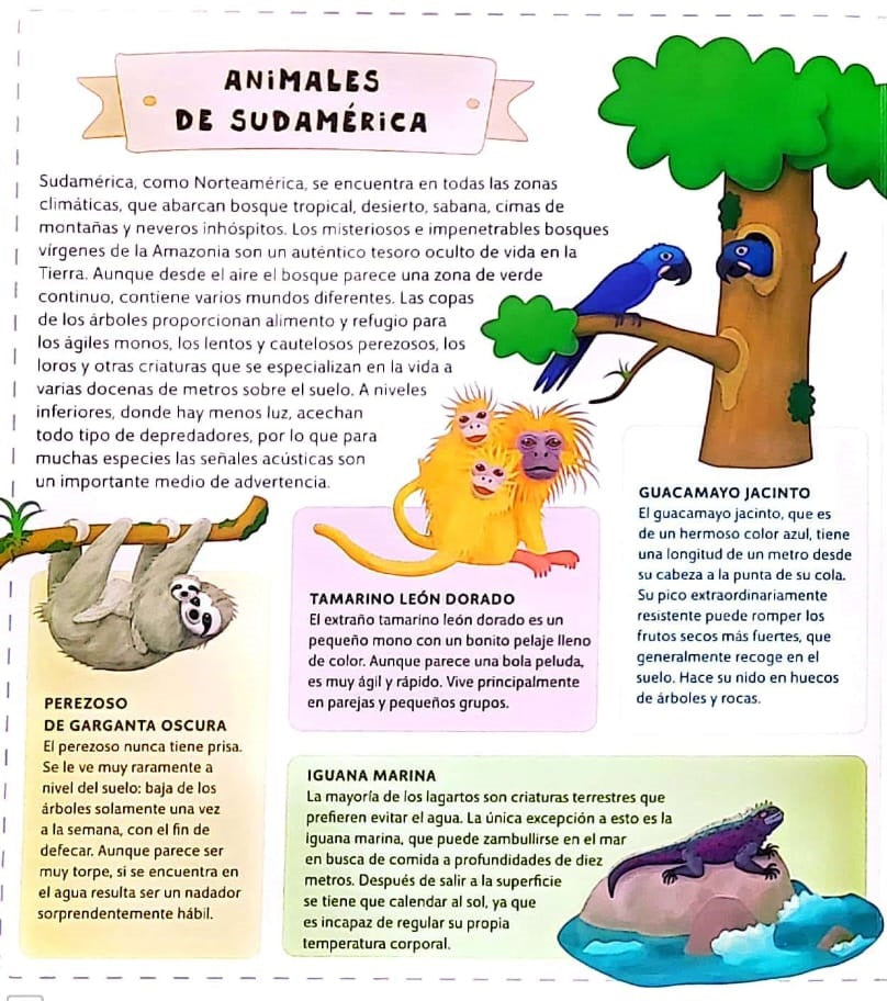 Libro Infantil Atlas De Animales Niños