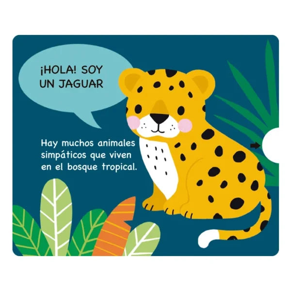 Libro Didáctico Animales Del Bosque Tropical Para Niños