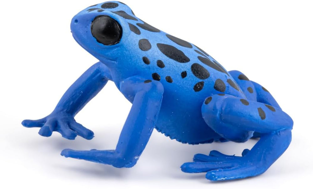 Figura Coleccionable Rana Ecuatorial Pintada A Mano