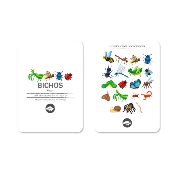 Juego Flashcards Educativas Bichos Para Niños