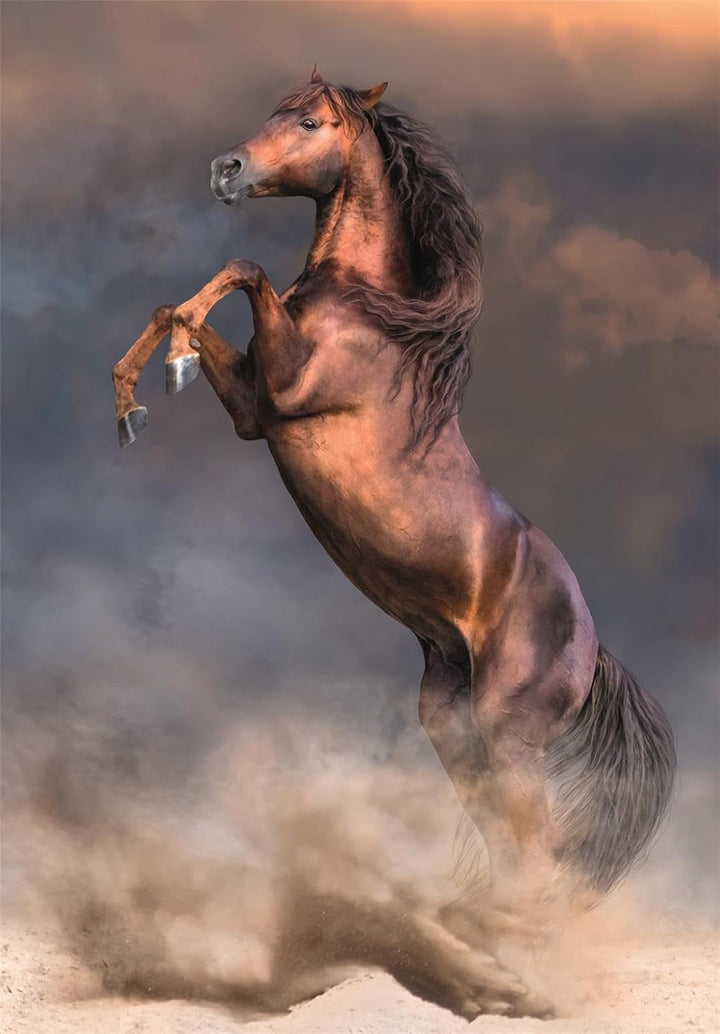 Rompecabezas 500 Piezas Caballo Salvaje
