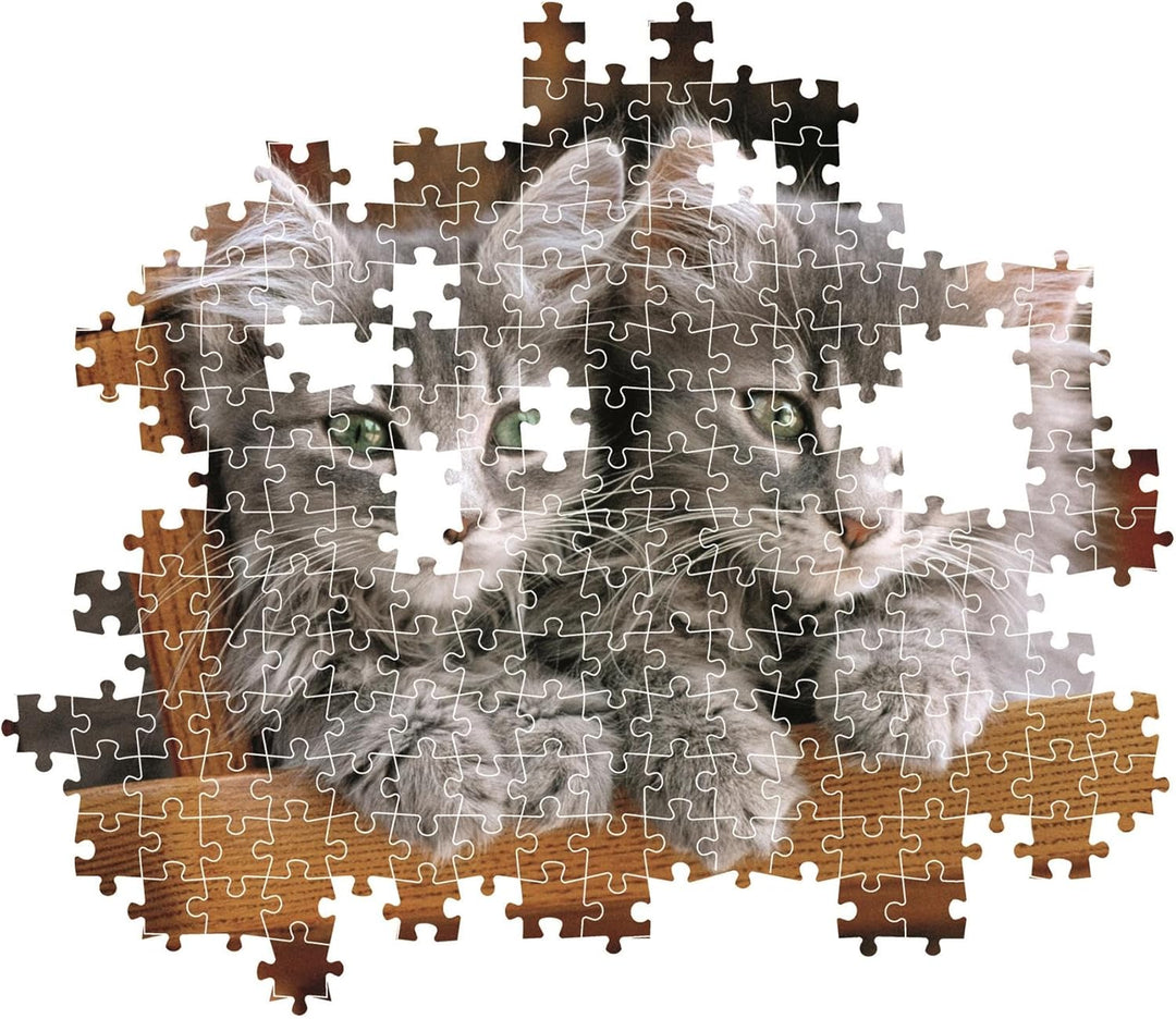 Rompecabezas 500 Piezas Gatitos Adorables