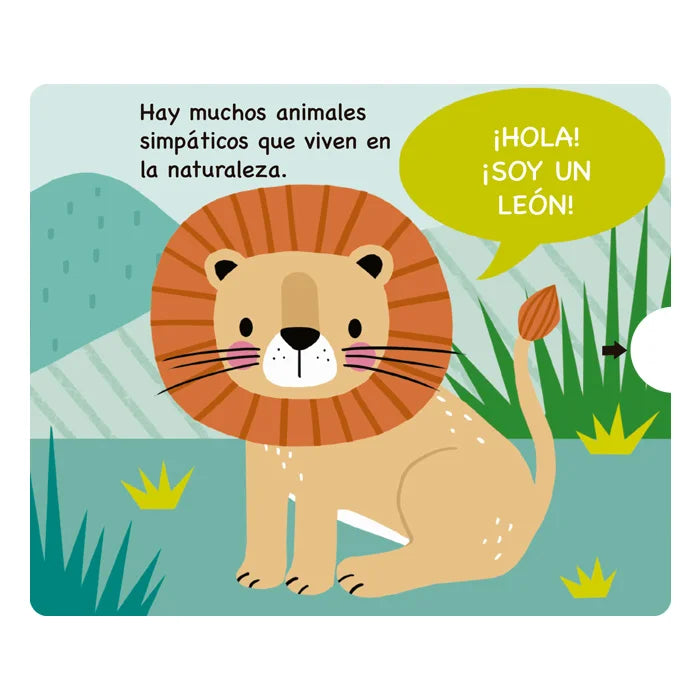 Libro Didáctico Ilustrados Animales Salvajes Para Niños