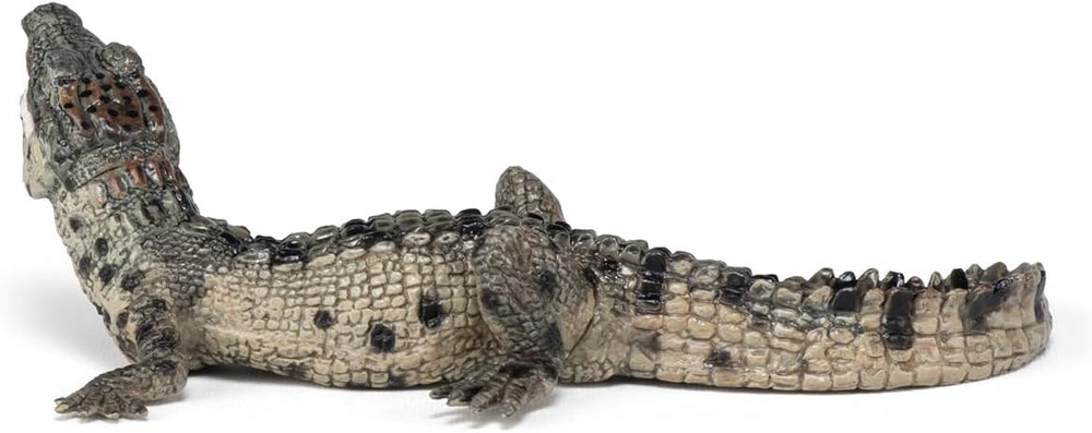Figura Cría Cocodrilo Pintada A Mano papo