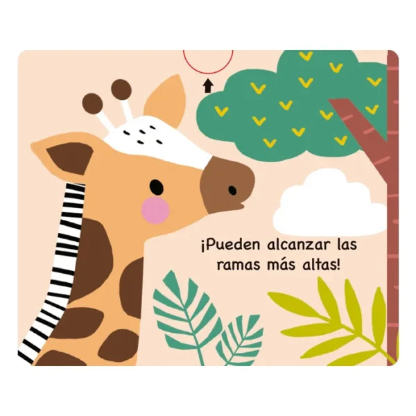 Libro Didáctico Ilustrados Animales Salvajes Para Niños