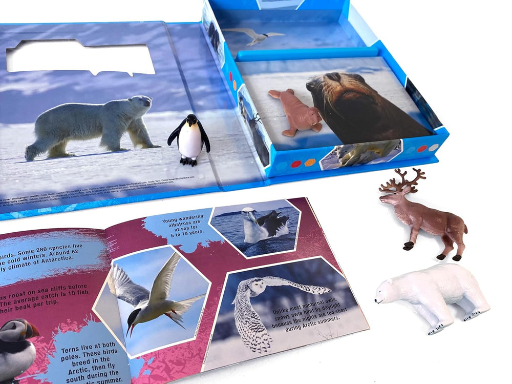 Libro Interactivo 2 En 1 Figuras Animales Polares Niños