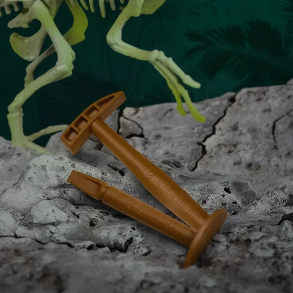 Experimento Fosil De Dinosaurio Velociraptor niños