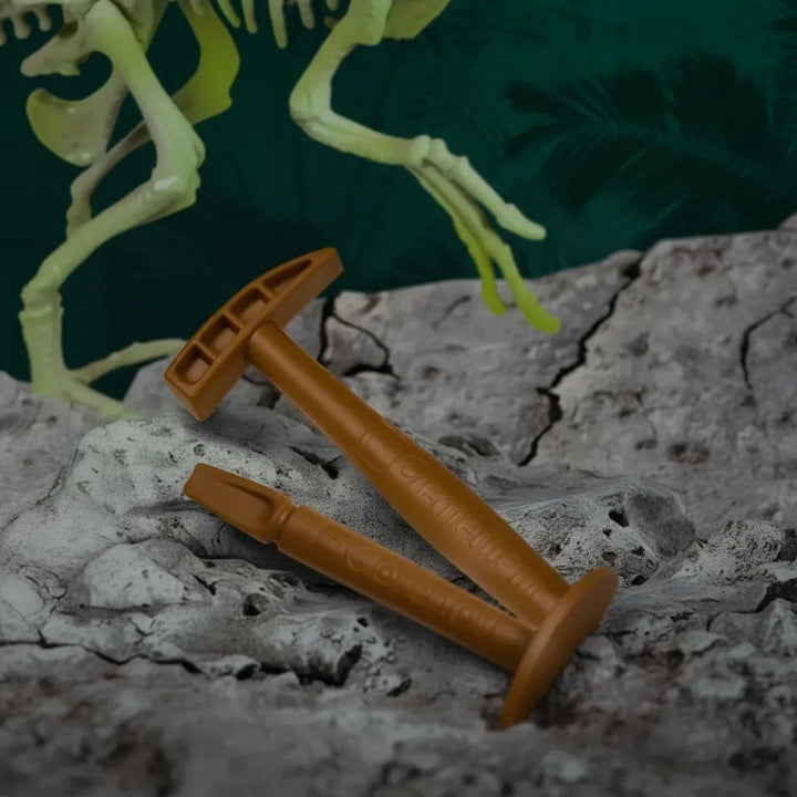 Experimento Fosil De Dinosaurio Velociraptor niños