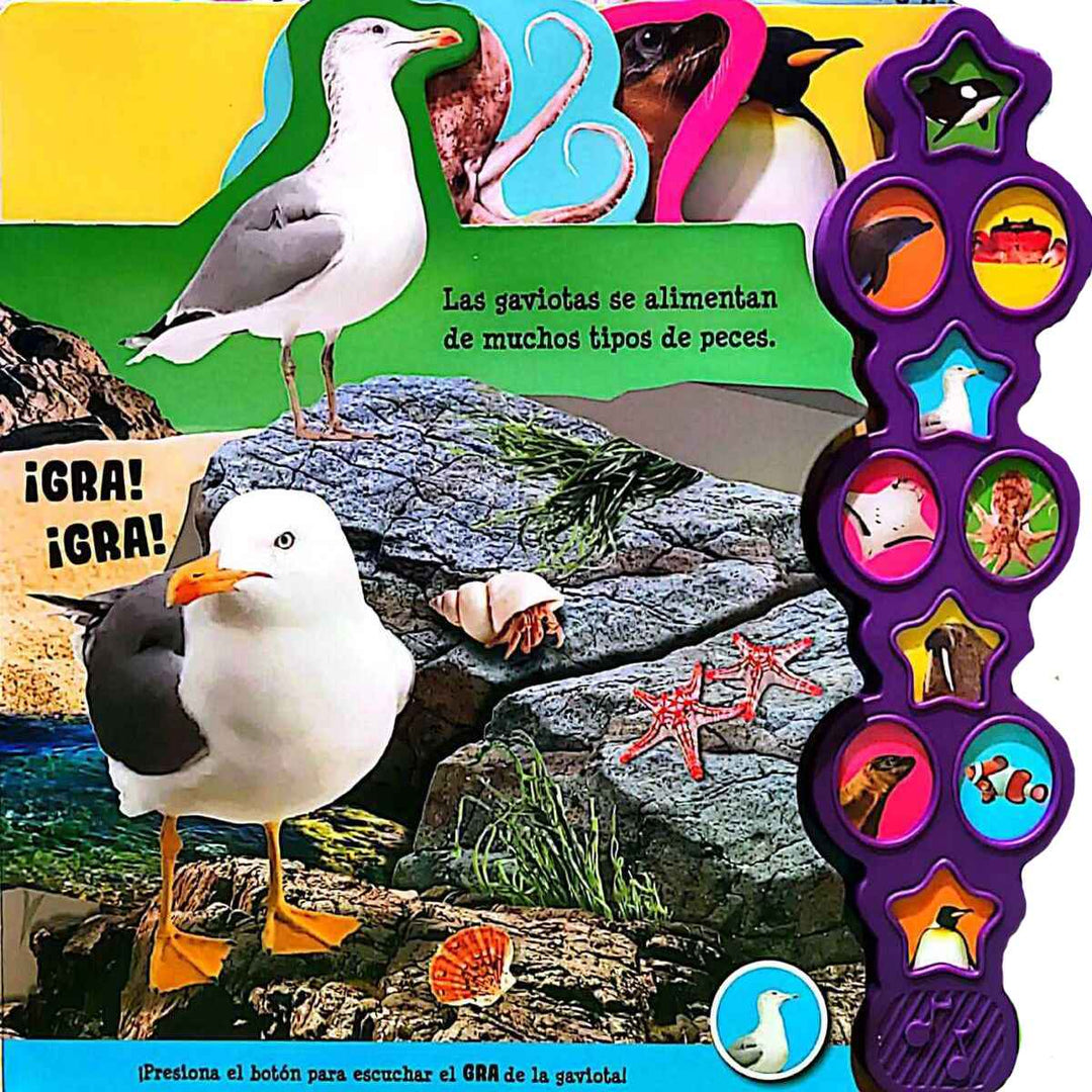 Libro Sonidos Océano 10 Animales Marinos Niños