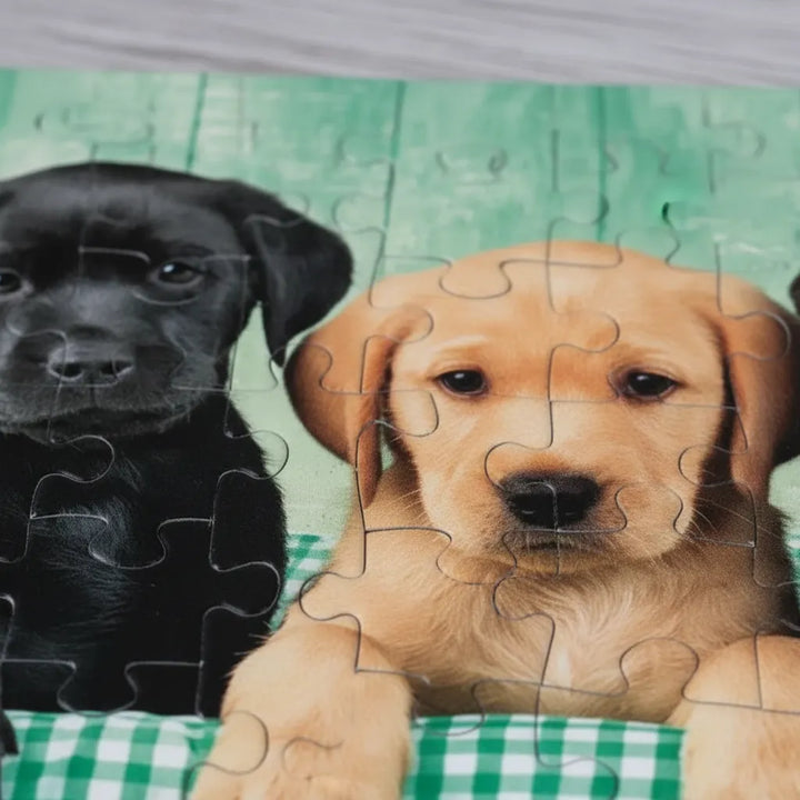 Rompecabezas 1000 Piezas Cachorros Labrador Clementoni