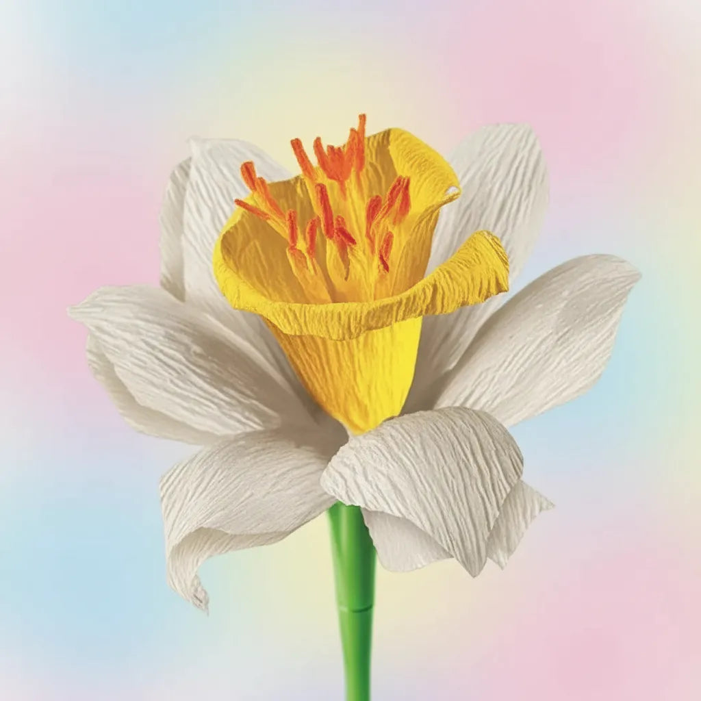 Juego Científico Creativo Flores Narcisos Para Niños Niñas
