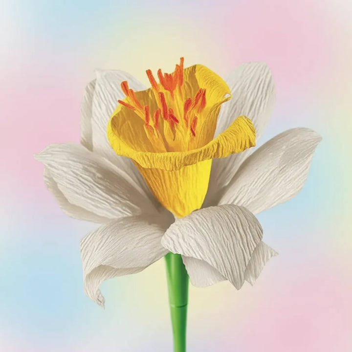 Juego Científico Creativo Flores Narcisos Para Niños Niñas