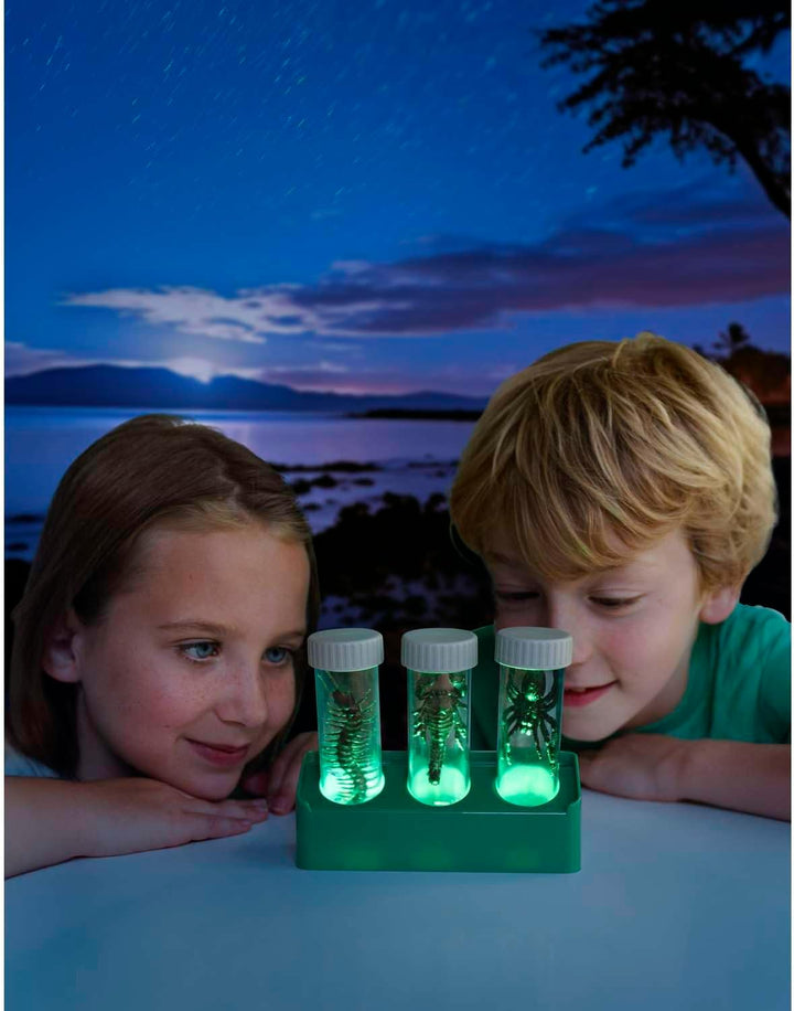 Juego De Ciencia Criaturas Luminosas 4m Para Niños