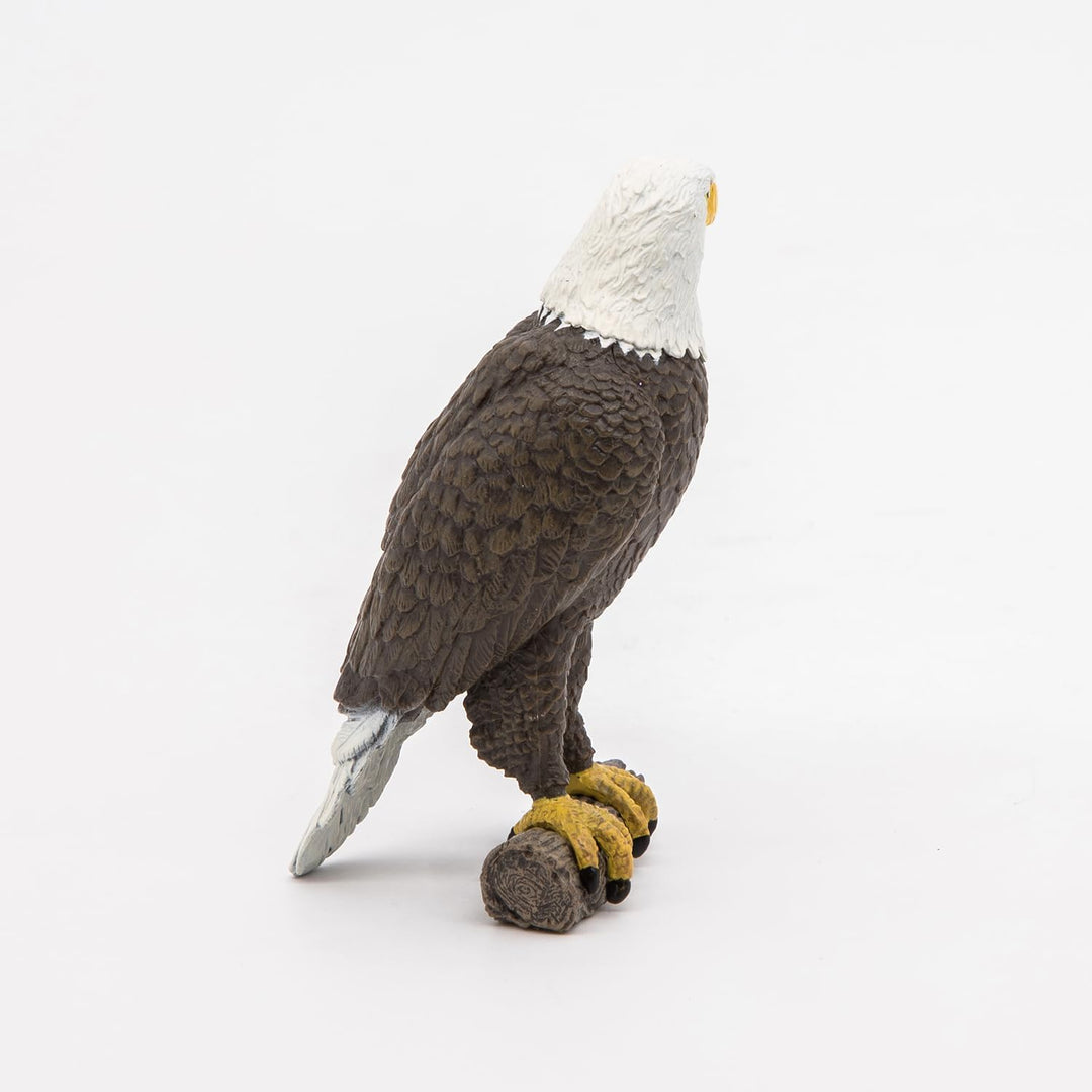 Figura Coleccionable Aguila Pygargue Papo Pintado A Mano