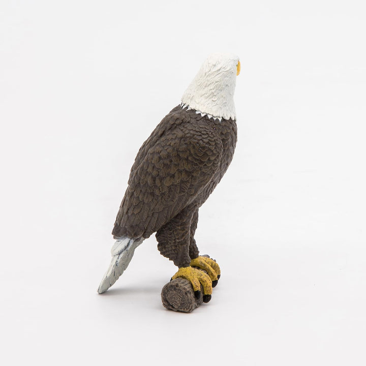 Figura Coleccionable Aguila Pygargue Papo Pintado A Mano