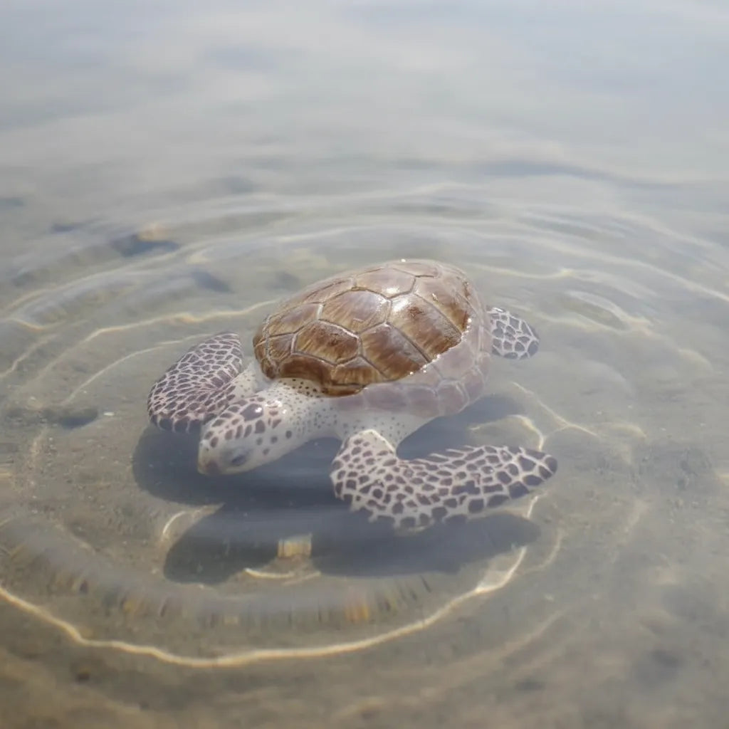 Figura Tortuga De Mar Pintada A Mano  Niños Adultos