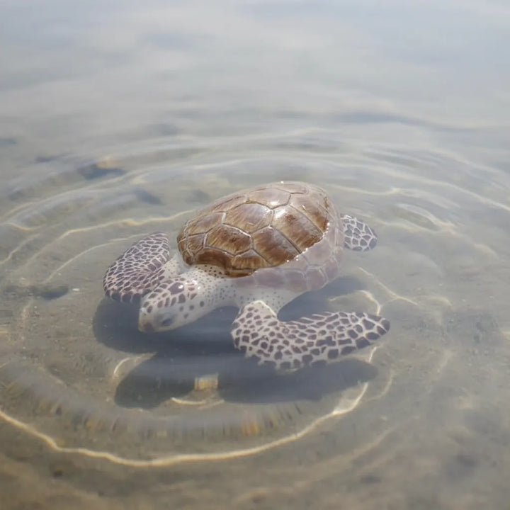 Figura Tortuga De Mar Pintada A Mano  Niños Adultos