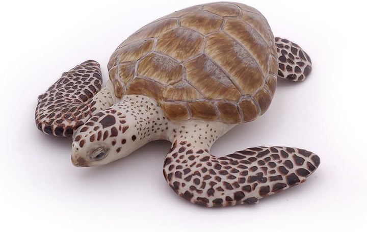 Figura Tortuga De Mar Pintada A Mano  Niños Adultos