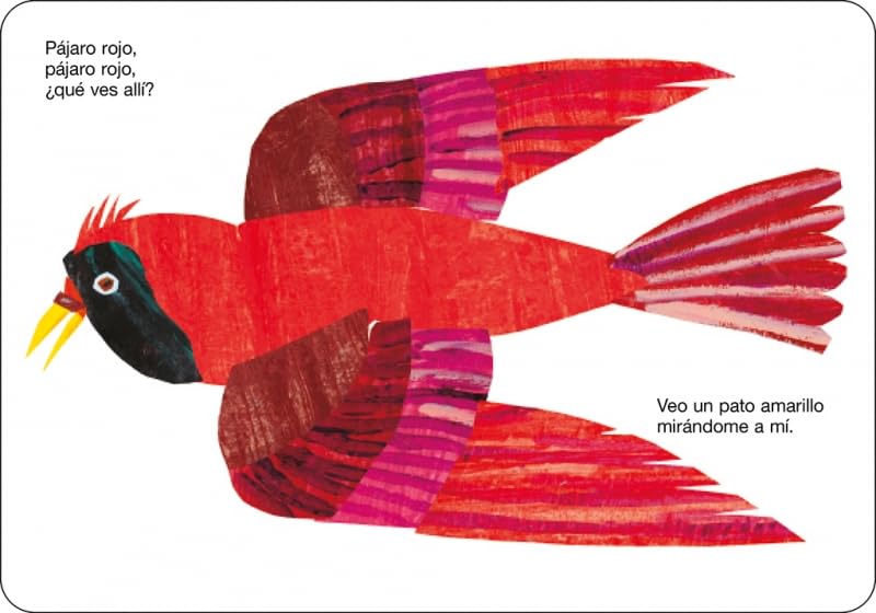 Libro Educativo Oso Pardo Para Niños