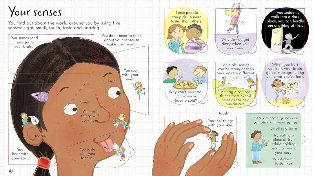 Juego Educativo El Cuerpo Humano Para Niños