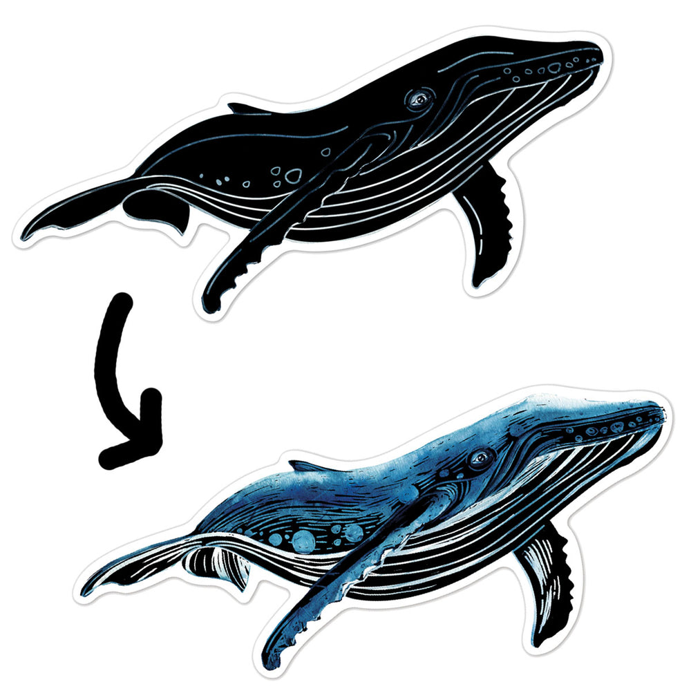 Juego Stickers Mundo Marino Para Rascar Niños