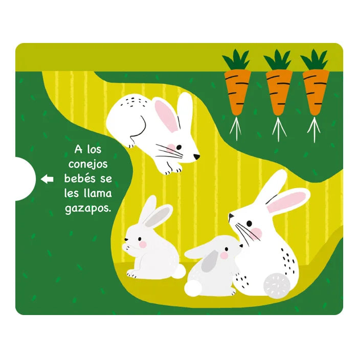 Libro Didáctico Ilustrados Animales Del Bosque Para Niños
