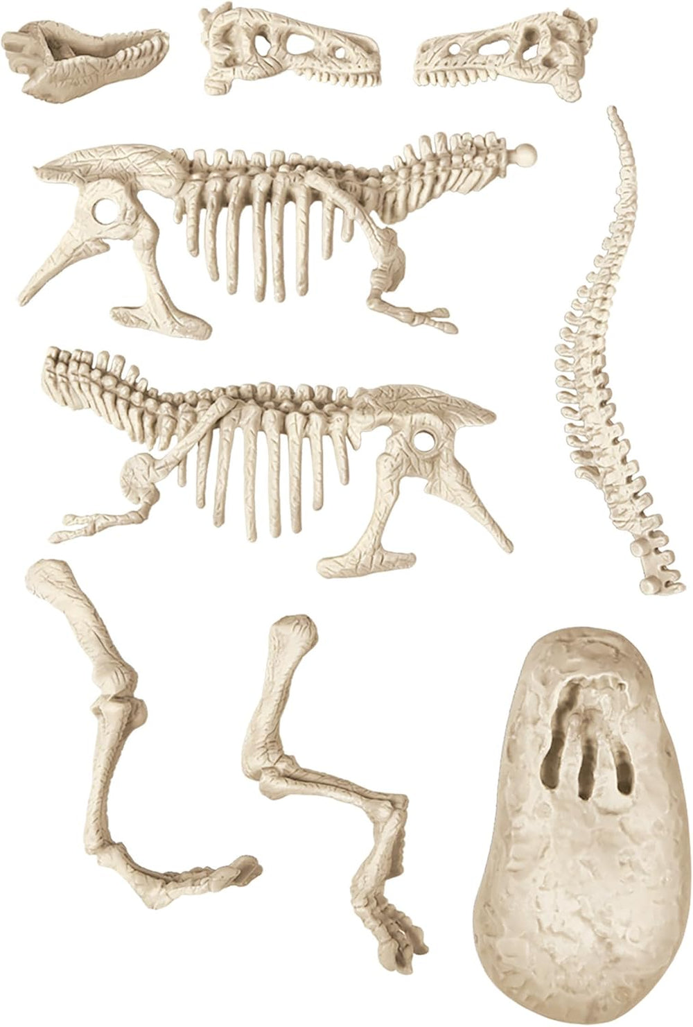 Juego Didáctico T-rex Fosforescente Niños