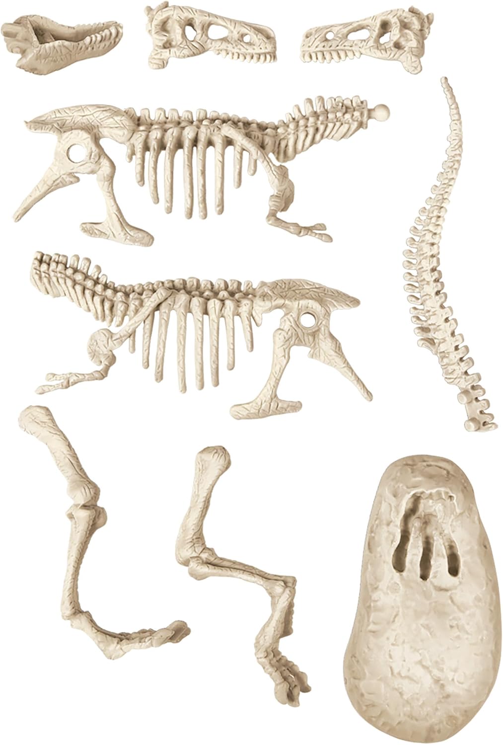 Juego Didáctico T-rex Fosforescente Niños