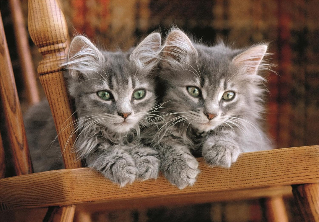 Rompecabezas 500 Piezas Gatitos Adorables