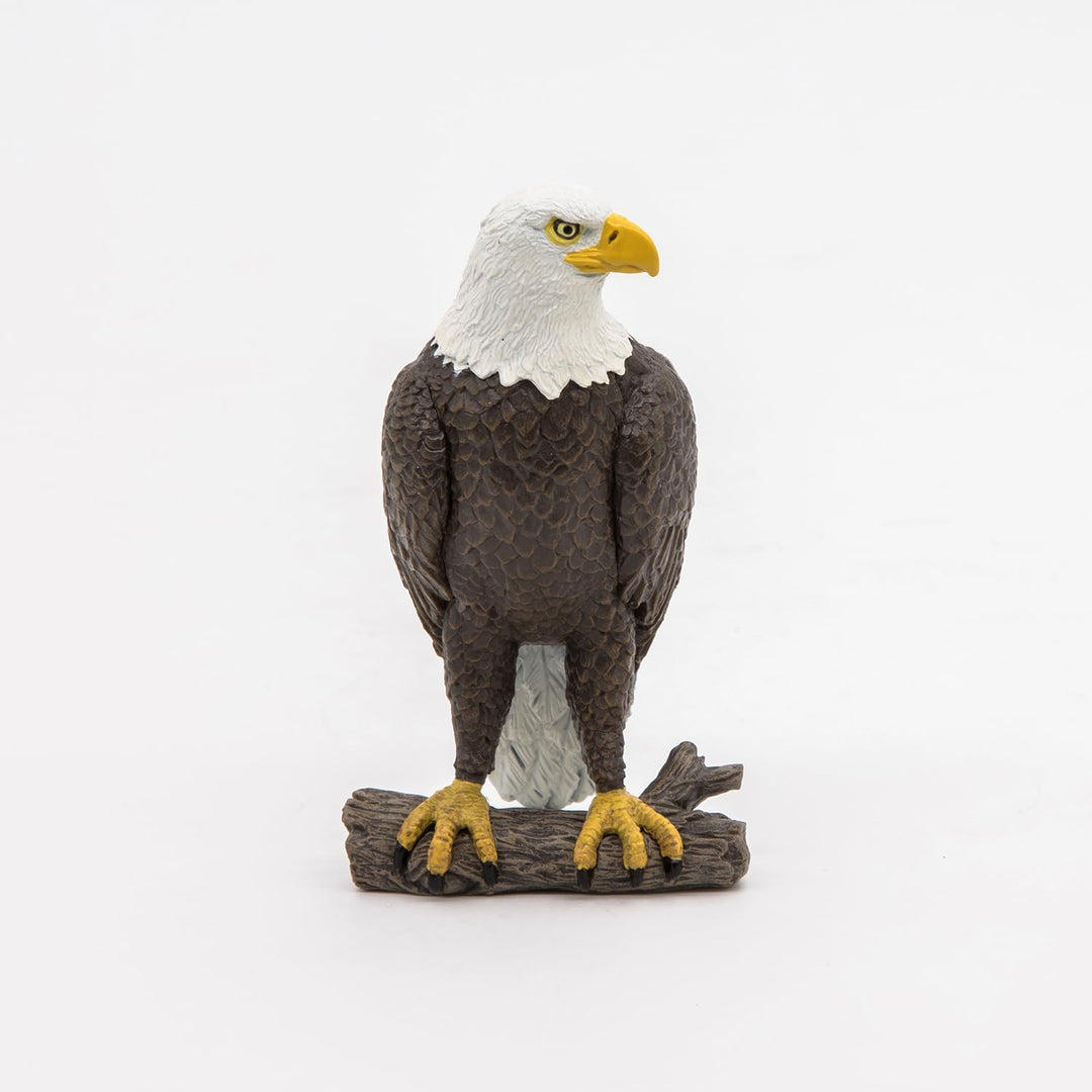 Figura Coleccionable Aguila Pygargue Papo Pintado A Mano