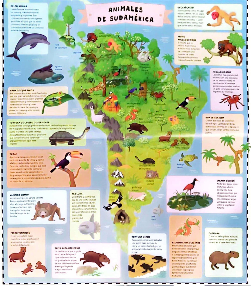 Libro Infantil Atlas De Animales Niños