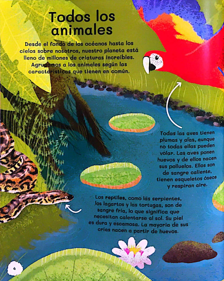 Libro Educativo Todo Sobre Animales Guía Niños