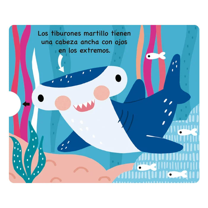 Libro Didáctico Ilustrados Animales Del Océano Para Niños