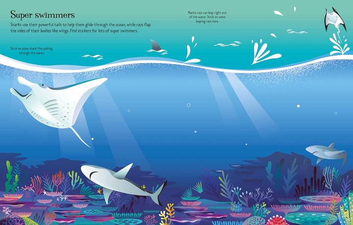 Libro Didáctico Primer Libro Pegatinas Tiburones Para Niños