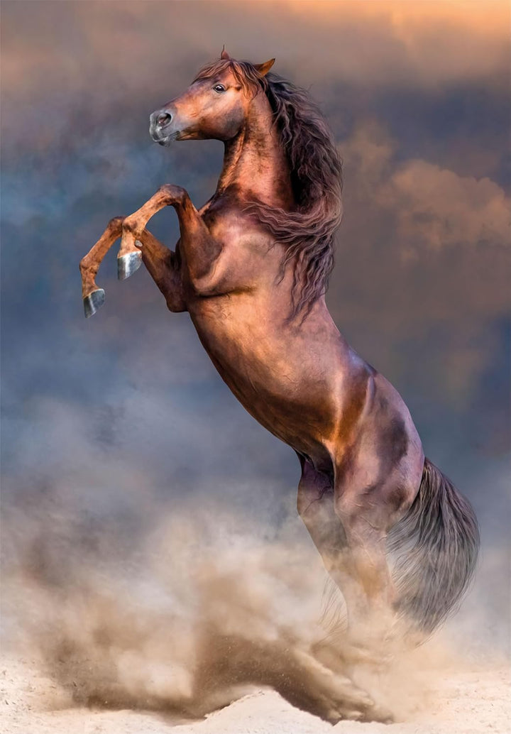 Rompecabezas 500 Piezas Caballo Salvaje