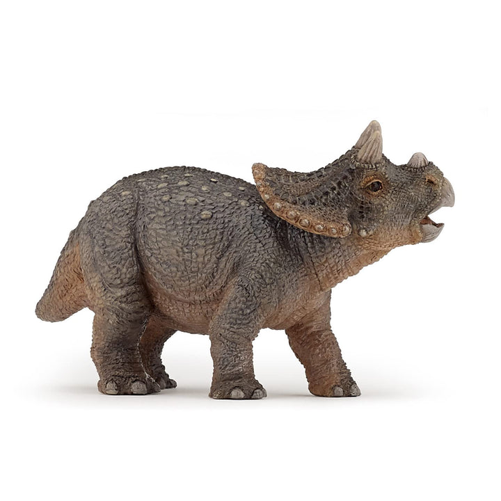 Figura Coleccionable Dinosaurio Triceratops Papo
