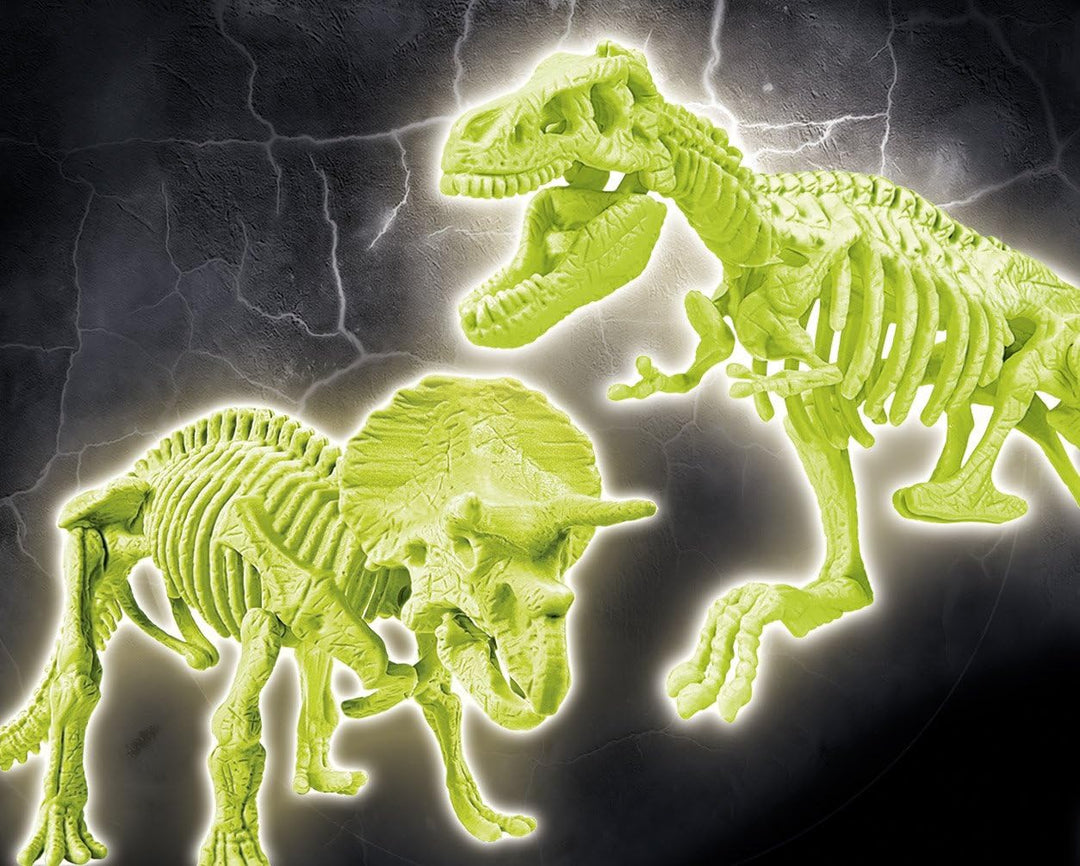 Juego Excavar Fósil De Dinosaurio Triceratops