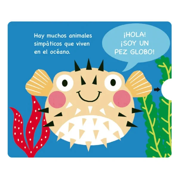 Libro Didáctico Ilustrados Animales Del Océano Para Niños