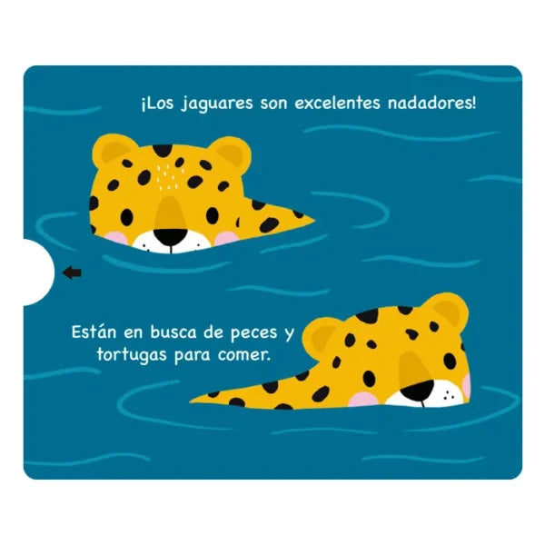Libro Didáctico Animales Del Bosque Tropical Para Niños