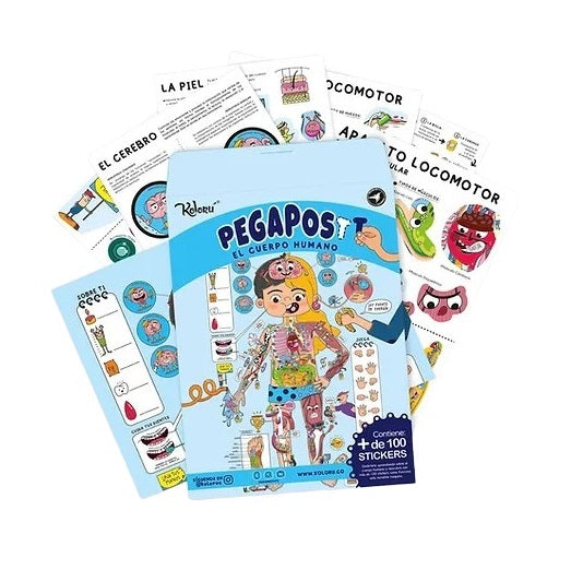 Set Educativo El Cuerpo Humano Con Stickers Niños