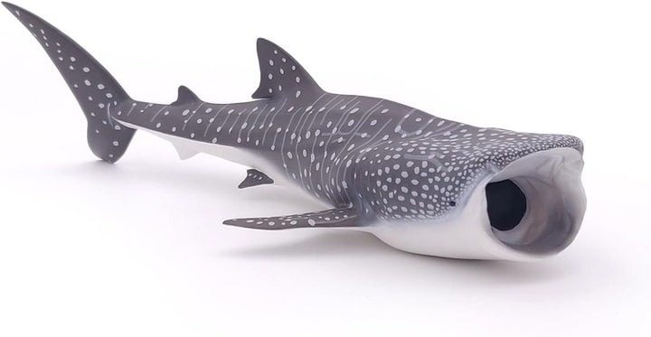 Figura Coleccionable Tiburón Ballena Papo Pintada A Mano