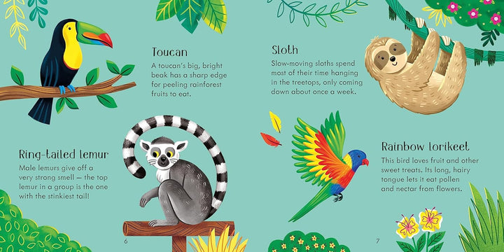 Juego Y Libro Didáctico Memoria Animales Del Zoológico Niños