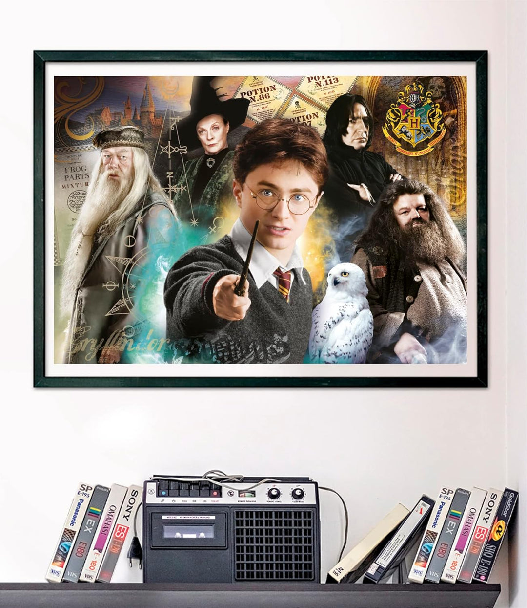 Rompecabezas 1000 Piezas Personajes Harry Potter