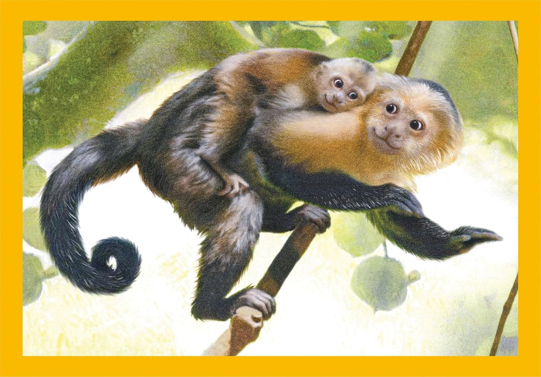 Rompecabezas 4 En 1 Animales Para Niños
