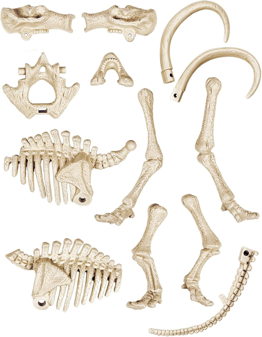 Juego Didáctico Fósiles De Mamut Niños