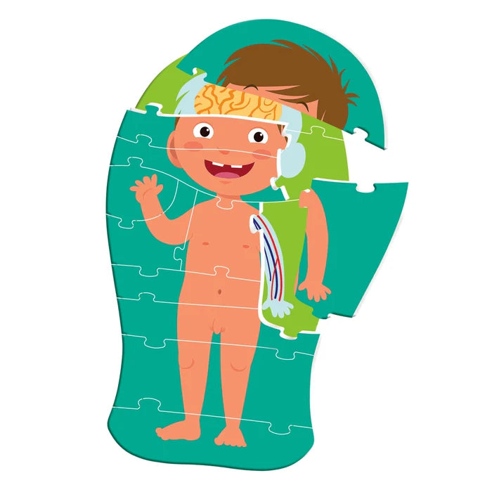 Juego Rompecabezas Del Cuerpo Humano Niños